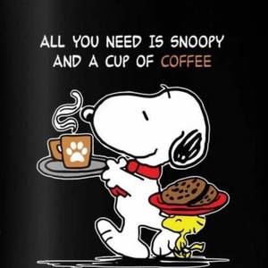 Meet your Posher, Danny